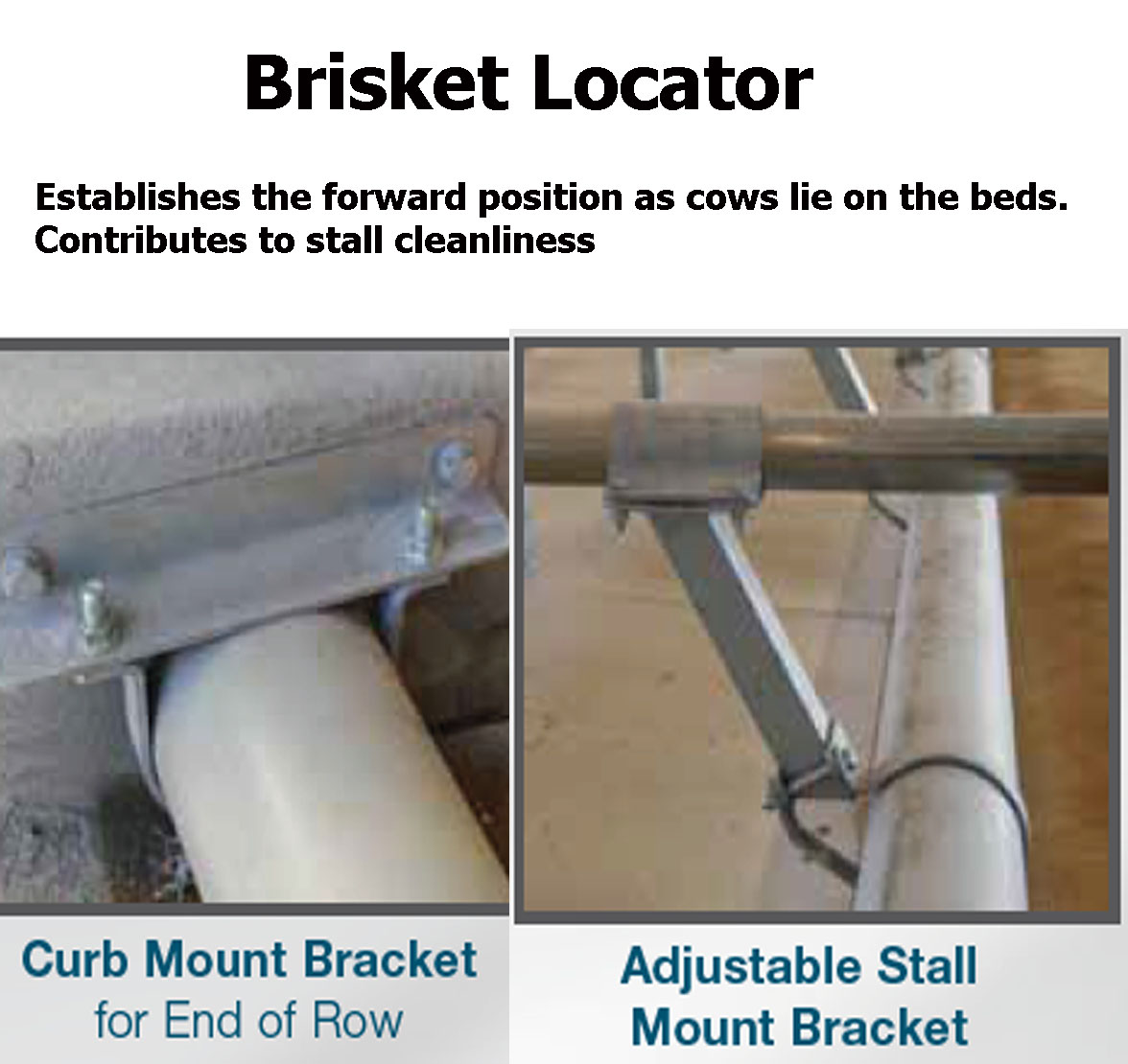 Stall Mounted Adjustable Brisket Locator